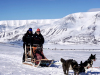 Svalbard: Sledetur
